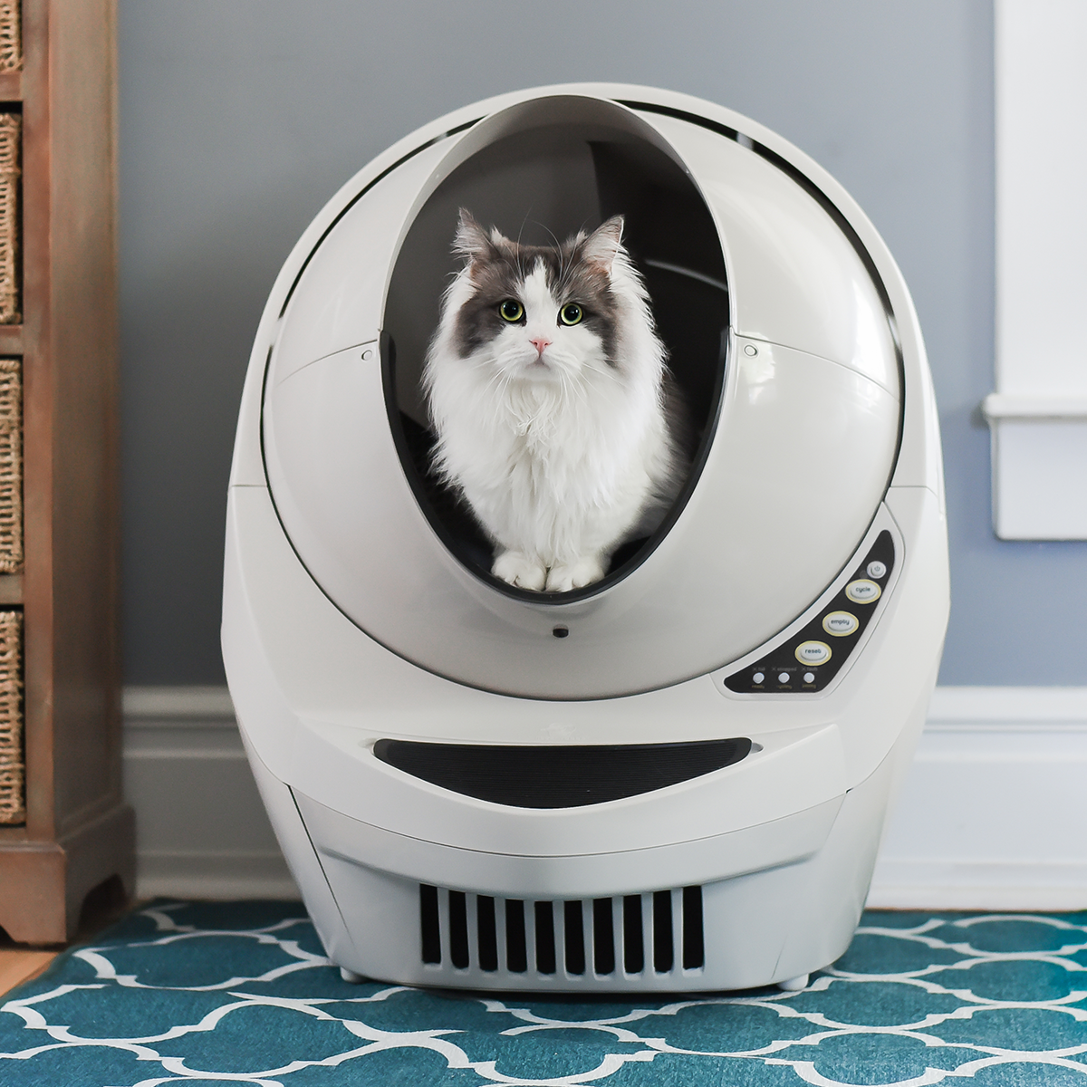 Японские биотуалеты. Автоматический туалет Litter Robot. Автоматический кошачий туалет catgenie. Туалет для кошек Cat Litter. Автоматический туалет для кошек литтер-робот.